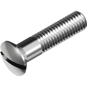 UPUŠTENA SOČIVASTA GLAVA